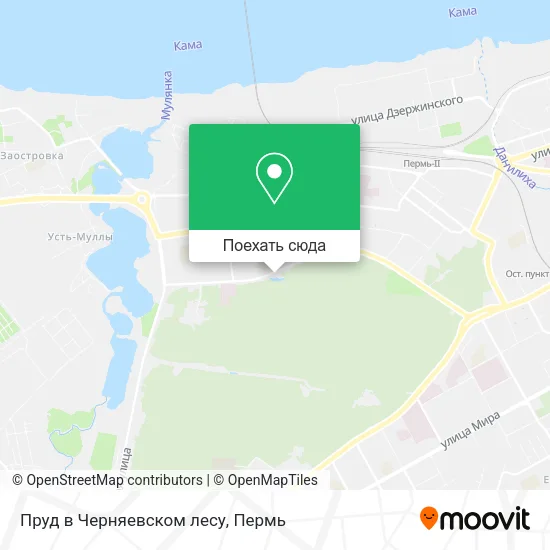 Карта Пруд в Черняевском лесу