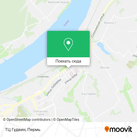 Карта ТЦ  Гудвин