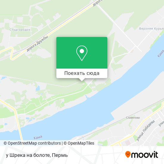 Карта у Шрека на болоте