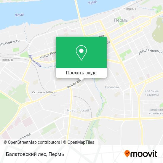 Карта Балатовский лес