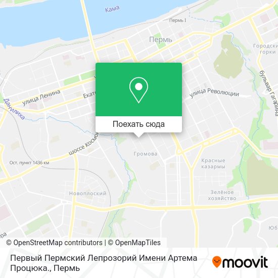 Карта Первый Пермский Лепрозорий Имени Артема Процюка.