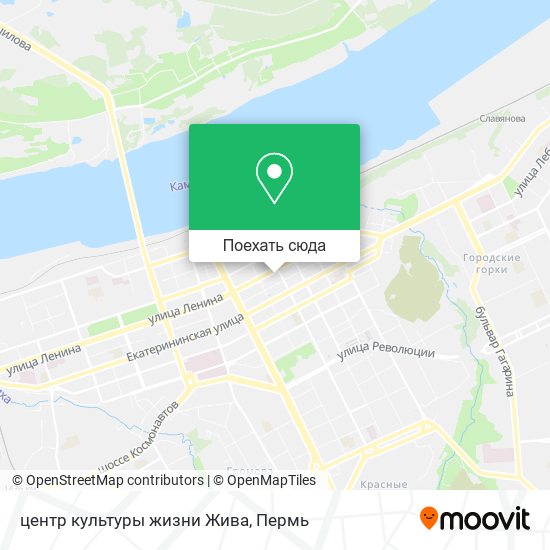 Карта центр культуры жизни Жива