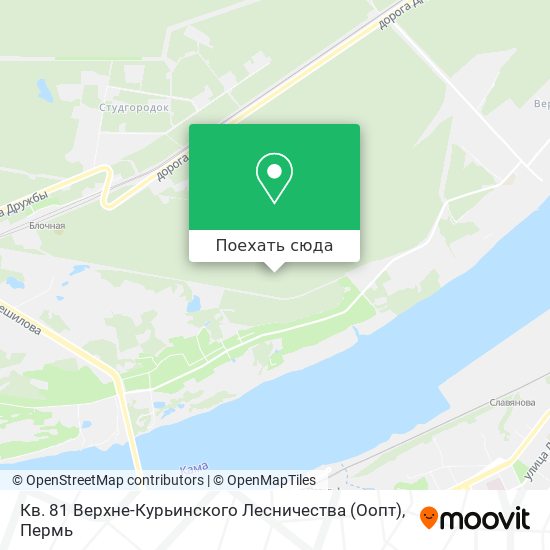 Карта Кв. 81 Верхне-Курьинского Лесничества (Оопт)