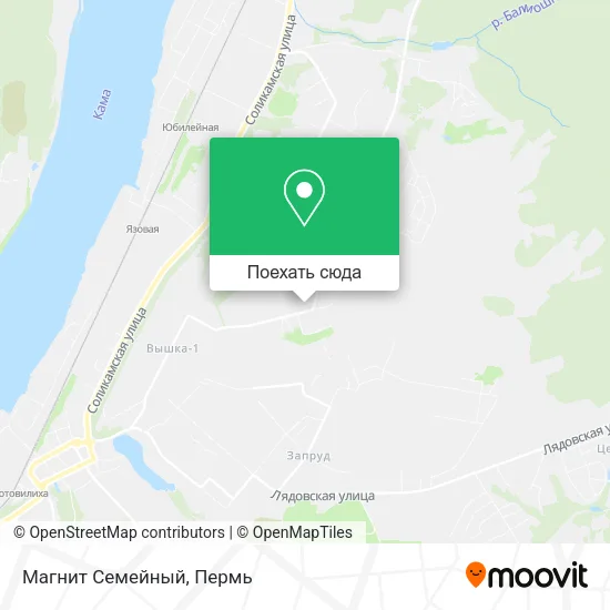 Карта Магнит Семейный