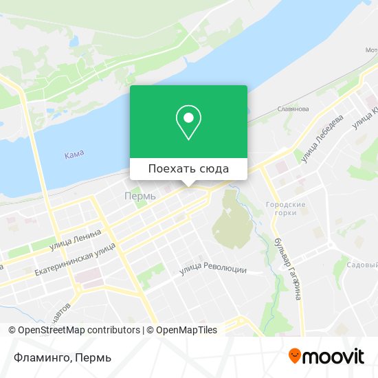 Карта Фламинго