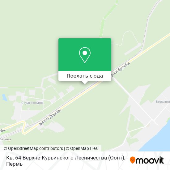 Карта Кв. 64 Верхне-Курьинского Лесничества (Оопт)