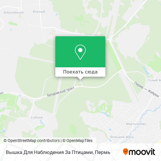 Карта Вышка Для Наблюдения За Птицами