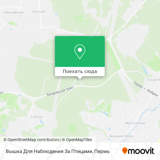 Карта Вышка Для Наблюдения За Птицами