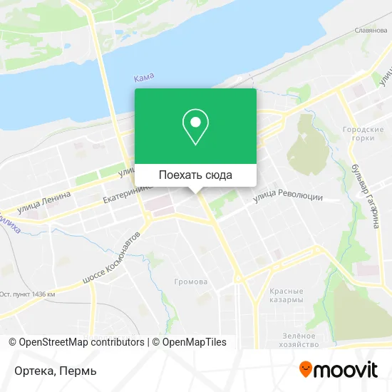 Карта Ортека