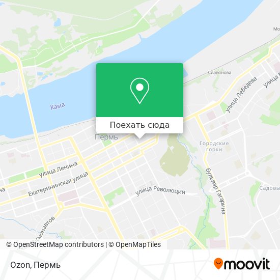 Карта Ozon