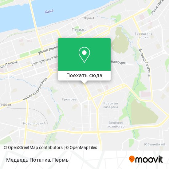 Карта Медведь Потапка
