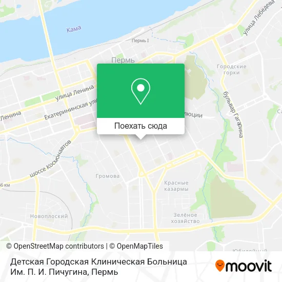 Карта Детская Городская Клиническая Больница Им. П. И. Пичугина