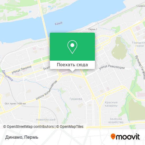 Карта Динамо
