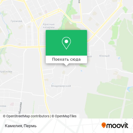 Карта Камелия