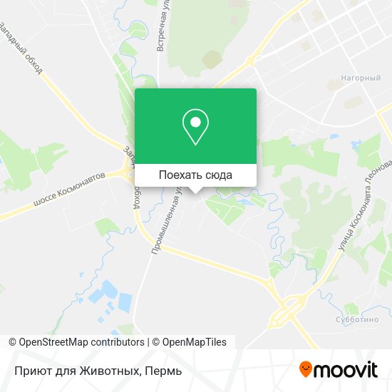 Карта Приют для Животных