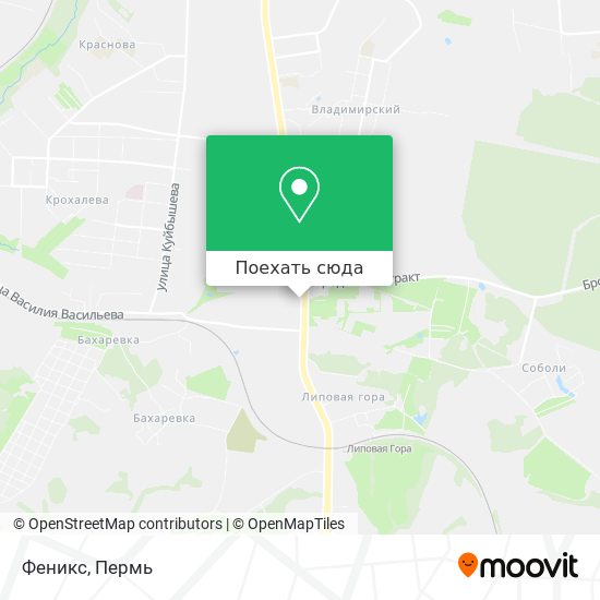 Карта Феникс