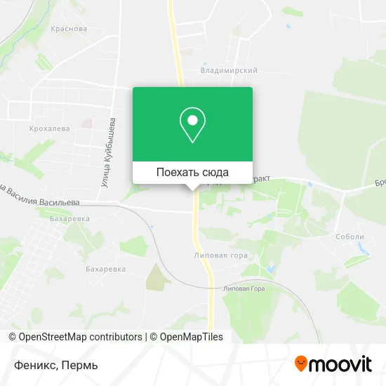 Карта Феникс