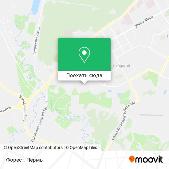 Карта Форест