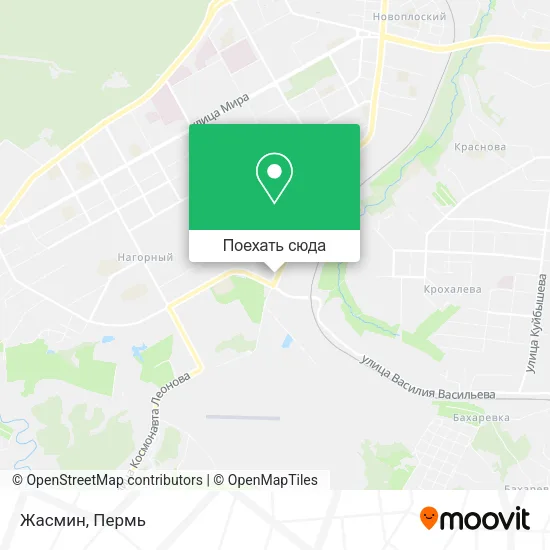 Карта Жасмин