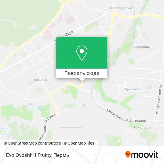 Карта Evo Ovoshhi I Frukty