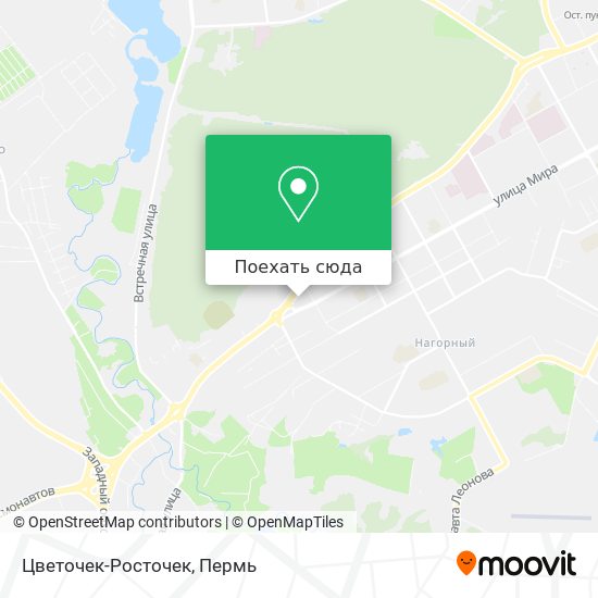 Карта Цветочек-Росточек
