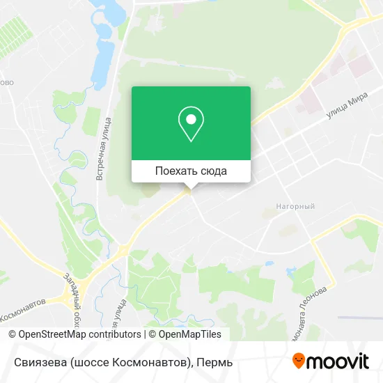 Карта Свиязева (шоссе Космонавтов)