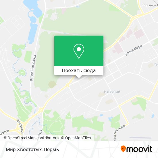 Карта Мир Хвостатых