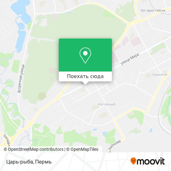 Карта Царь-рыба