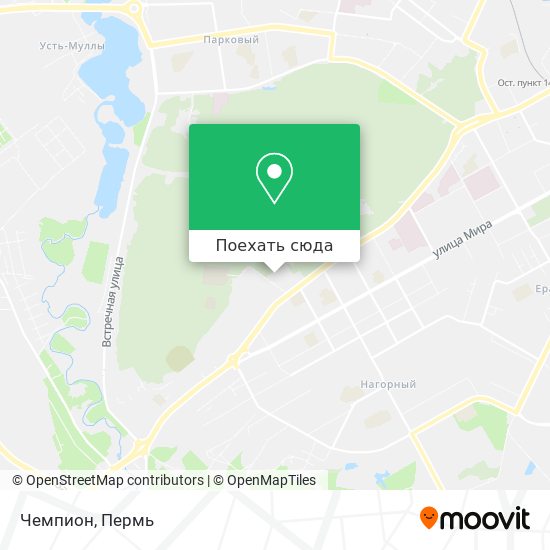 Карта Чемпион