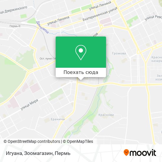 Карта Игуана, Зоомагазин