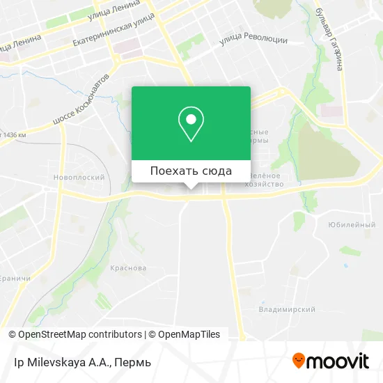 Карта Ip Milevskaya A.A.