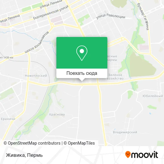 Карта Живика
