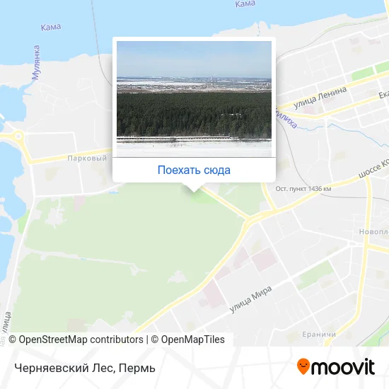Карта Черняевский Лес