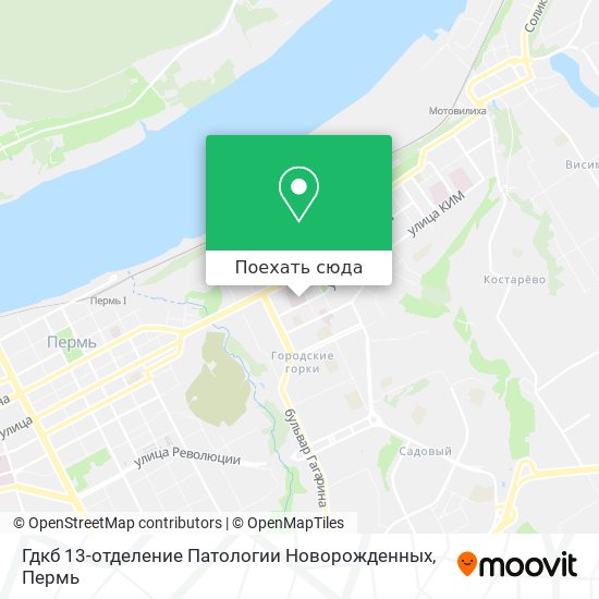 Карта Гдкб 13-отделение Патологии Новорожденных