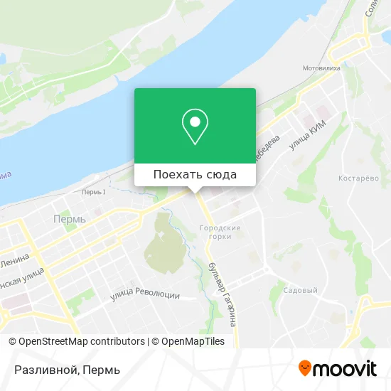 Карта Разливной