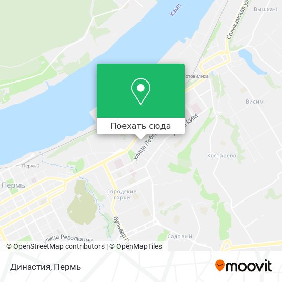 Карта Династия