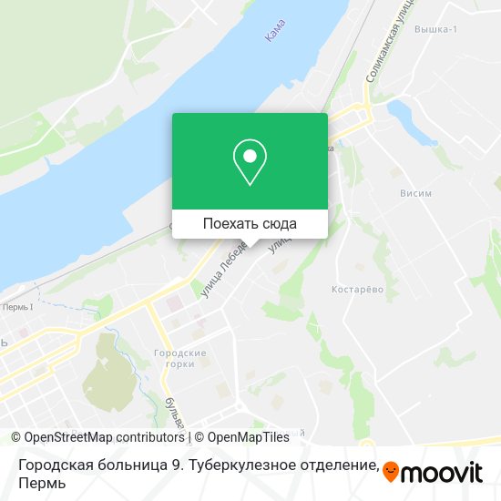 Карта Городская больница 9. Туберкулезное отделение