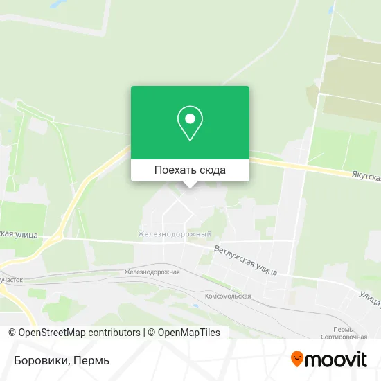 Карта Боровики