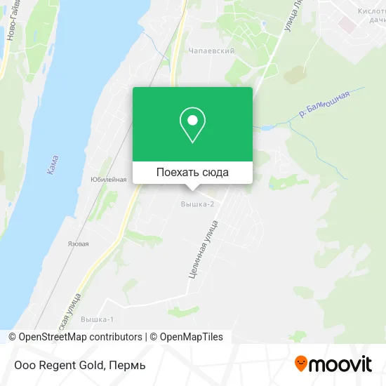 Карта Ooo Regent Gold