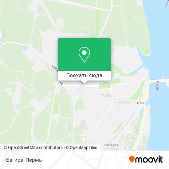 Карта Багира