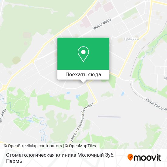 Карта Стоматологическая клиника Молочный Зуб