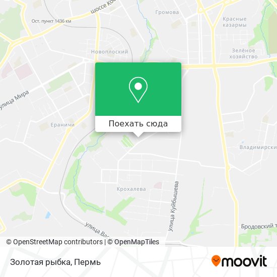 Карта Золотая рыбка