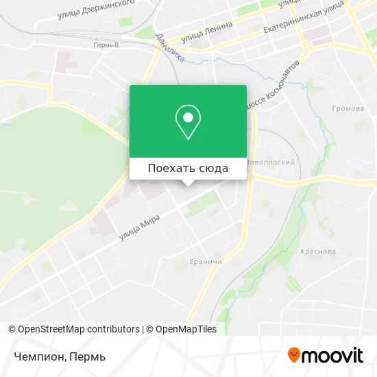 Карта Чемпион
