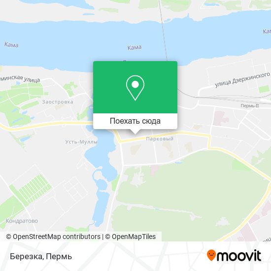 Карта Березка