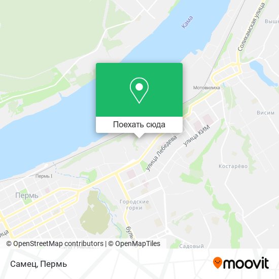 Карта Самец