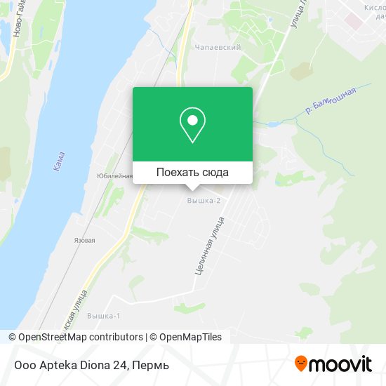 Карта Ooo Apteka Diona 24