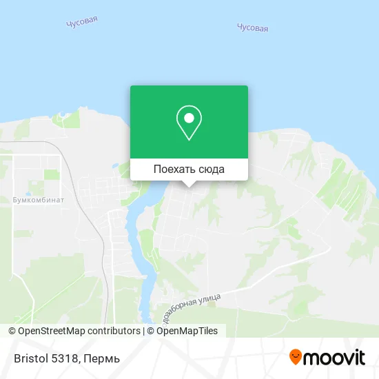 Карта Bristol 5318