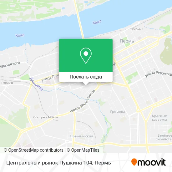 Карта Центральный рынок Пушкина 104