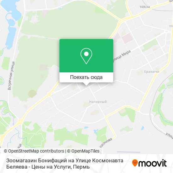 Карта Зоомагазин Бонифаций на Улице Космонавта Беляева - Цены на Услуги