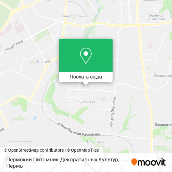 Карта Пермский Питомник Декоративных Культур